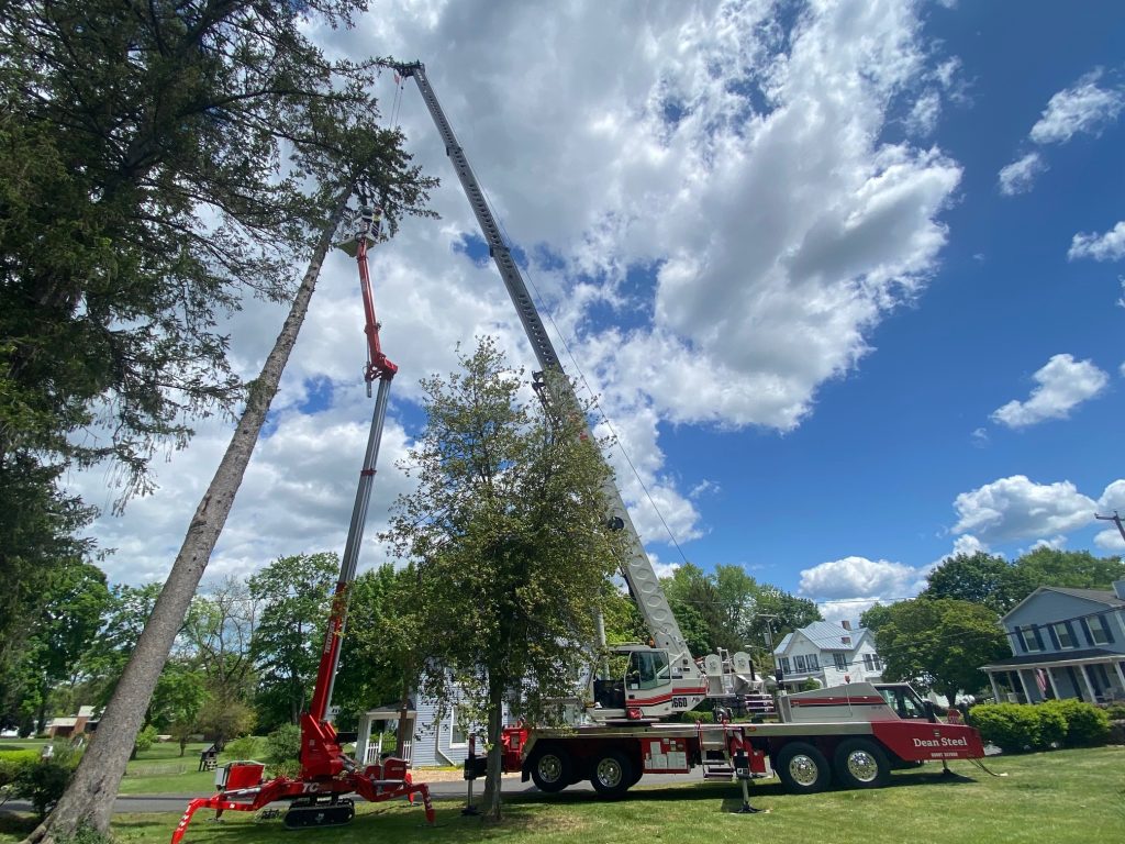Tree removal with crane and spider lift